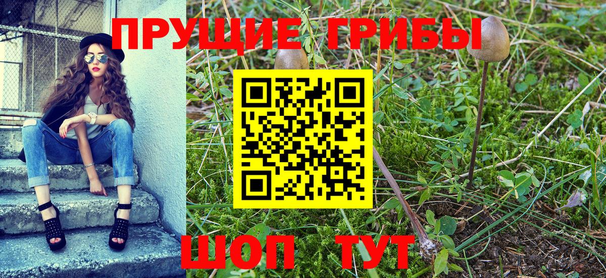 Псилоцибиновые грибы Magic Shrooms  Вход с VPN  Соль-Илецк 